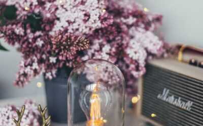 Descubre el poder del color: Inspiración y tonos para tu hogar