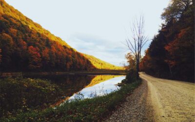 Cuadros estilo boho: cómo incorporar el arte bohemio en tu decoración