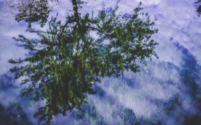 Decora tu espacio con arte en 2025: cuadros, láminas y esculturas