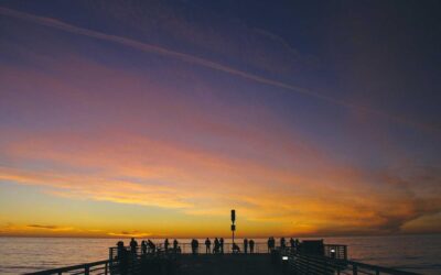 Decoración con plantas: guía para 2025