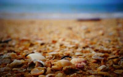 Cómo decorar un piso de alquiler con arte (sin tocar nada y sin perder el depósito)