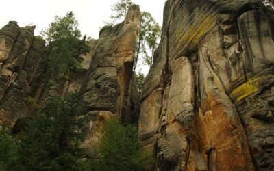 Estilo Japandi: Tendencia 2025 en Decoración de Interiores