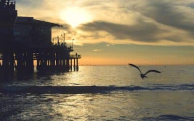 Fotografía artística en casa: cuándo y cómo convertirla en la protagonista de tu decoración