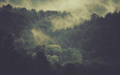 Guía de compra: el marco dorado 50×70 perfecto para pósters y láminas