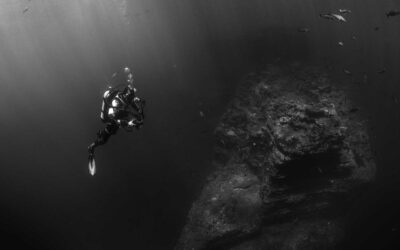 Láminas con frases decorativas: arte de palabras para tu hogar