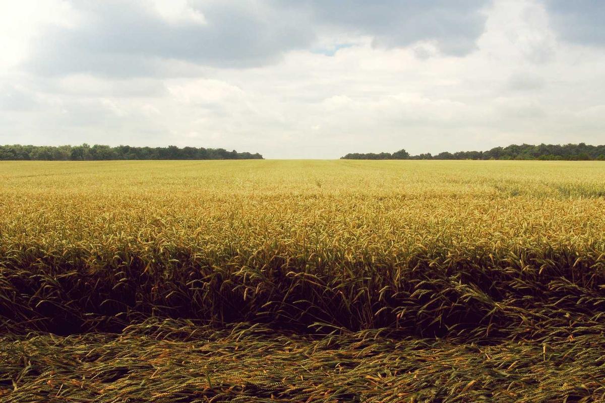 Láminas decorativas en baño elegante con acabados blancos