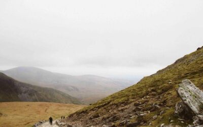 Las tendencias en cocinas para 2025: colores, materiales y distribución