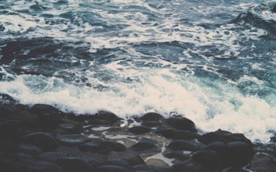 Regalos originales para el hogar: láminas enmarcadas que siempre aciertan