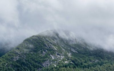 Terrazas y balcones 2025: Oasis exterior con decoración