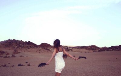 Arte en exterior: láminas y cuadros para terrazas y jardines con carácter