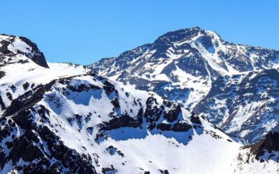 El baño decorado con láminas: la tendencia que llegó para quedarse