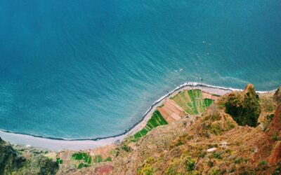 Cómo crear coherencia visual en un hogar donde conviven muchos estilos