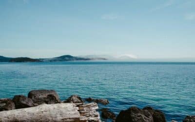 Color drenching: la técnica monocromática que está transformando los interiores españoles
