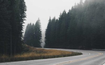 Cottagecore urbano: cómo traer el romanticismo rural a tu piso de ciudad