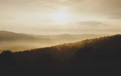 El dormitorio como santuario: claves para decorar con arte el espacio más íntimo