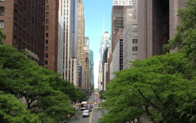 Quiet luxury en decoración: el arte de la elegancia que no grita